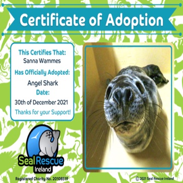 Angel Shark Cert.jpg